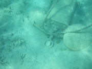 DSCF0448