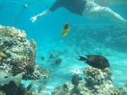DSCF0463