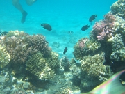DSCF0470
