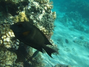 DSCF0472