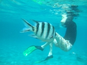 DSCF0475