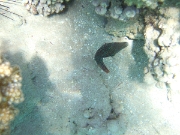 DSCF0481