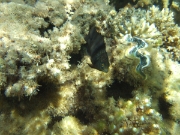 DSCF0488