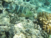DSCF0501