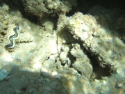 DSCF0504