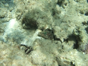 DSCF0506