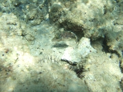 DSCF0507