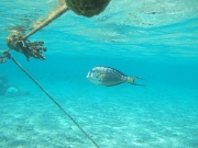 DSCF0514