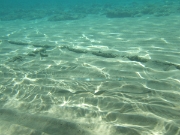 DSCF0535
