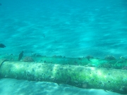 DSCF0540