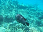 DSCF0549