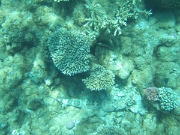 DSCF0563