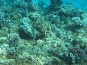 DSCF0568