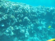 DSCF0570