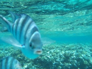 DSCF0572