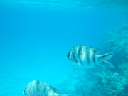 DSCF0575