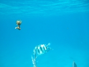 DSCF0576