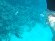 DSCF0577