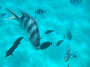 DSCF0581
