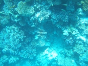 DSCF0588