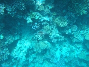 DSCF0590
