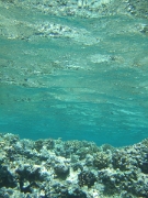 DSCF0610