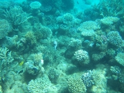 DSCF0614