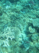 DSCF0616