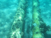 DSCF0617