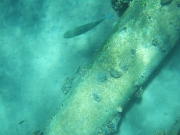 DSCF0620