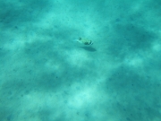 DSCF0621