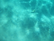 DSCF0622