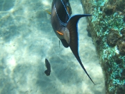 DSCF0625