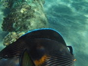 DSCF0629