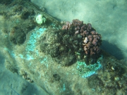 DSCF0634