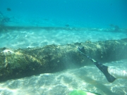 DSCF0642