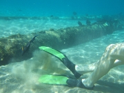 DSCF0644