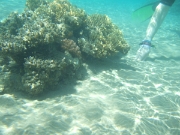 DSCF0650