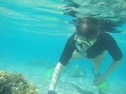 DSCF0651