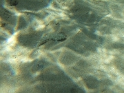 DSCF0652