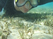 DSCF0674