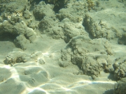 DSCF0687