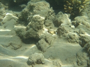 DSCF0689
