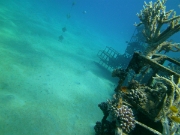 PICT0005
