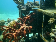 PICT0009