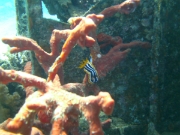 PICT0010