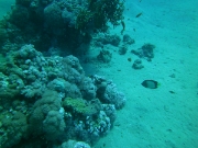 PICT0015