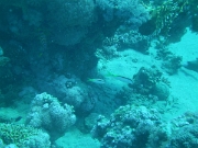 PICT0016