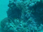 PICT0017