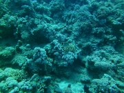 PICT0022